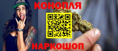 крисы Новозыбков