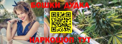 крисы Новозыбков