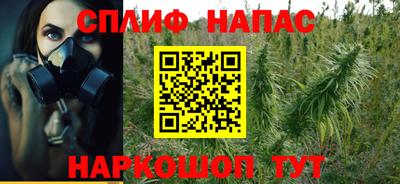 крисы Новозыбков