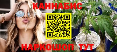 крисы Новозыбков