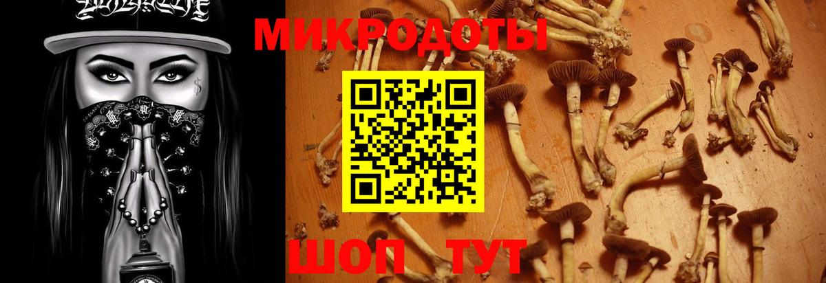 Сунжа  Псилоцибиновые грибы GOLDEN TEACHER  Вход с VPN 