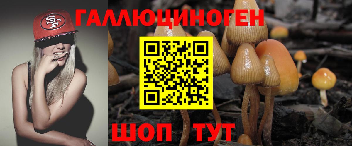 Галлюциногенные грибы мицелий Сунжа